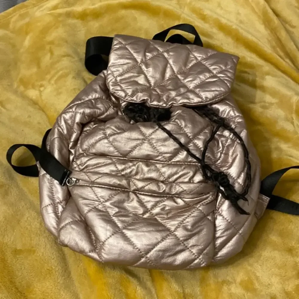 Stunning metallic backpack